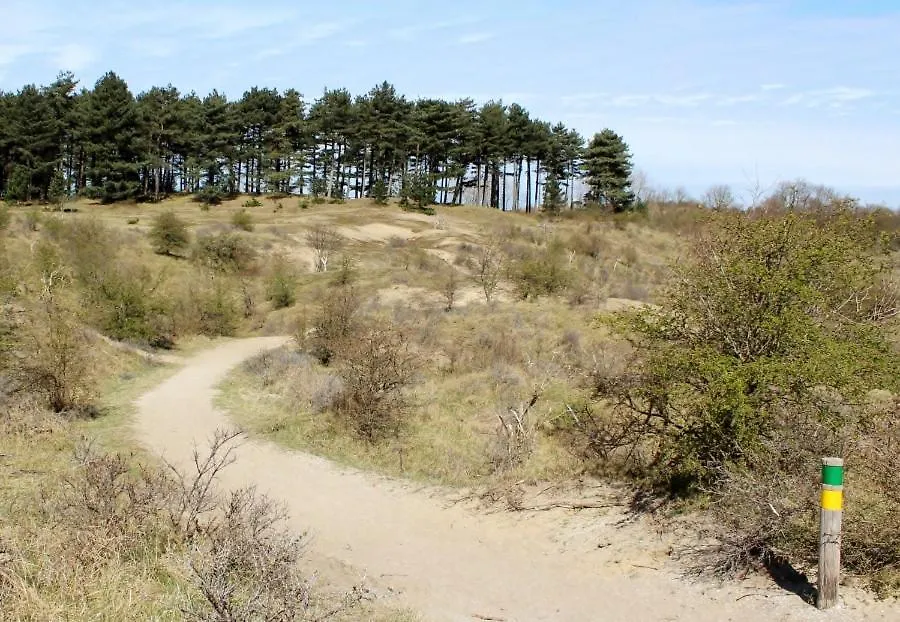 Appartamento Oasis Studio- Free Parking Zandvoort Paesi Bassi