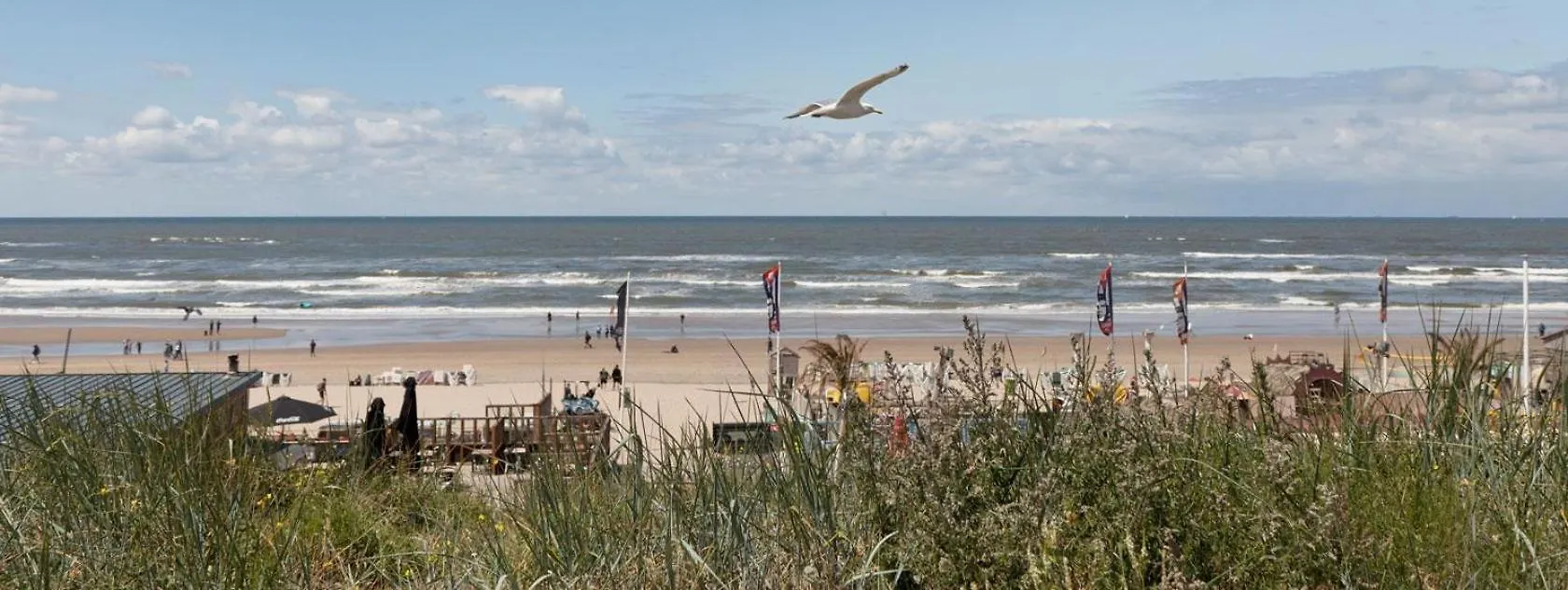 Oasis Studio- Free Parking Zandvoort 0*,  Paesi Bassi